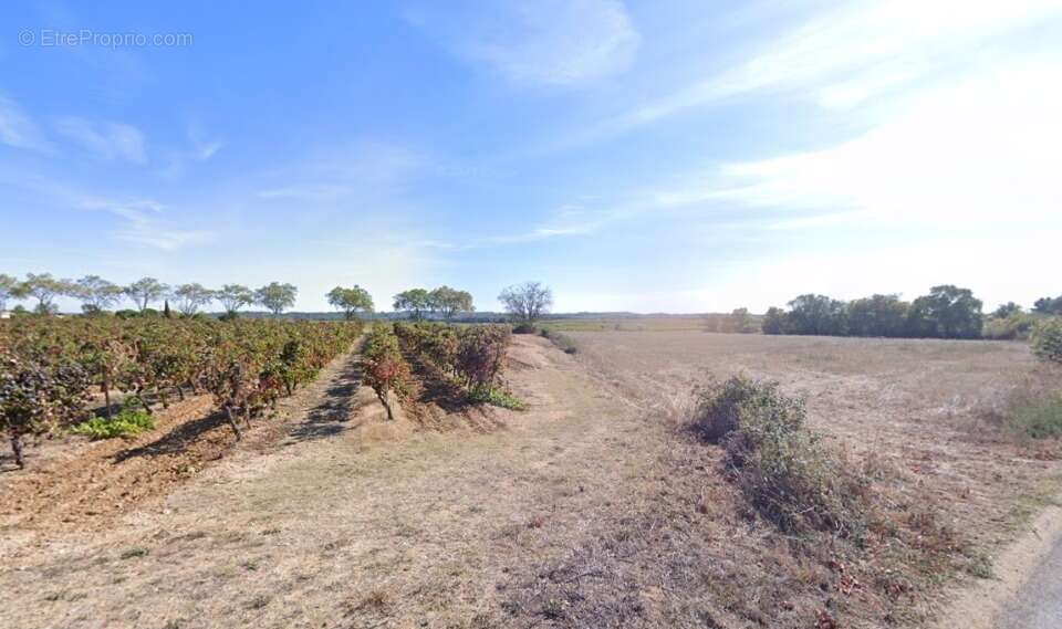 Terrain à ALIGNAN-DU-VENT