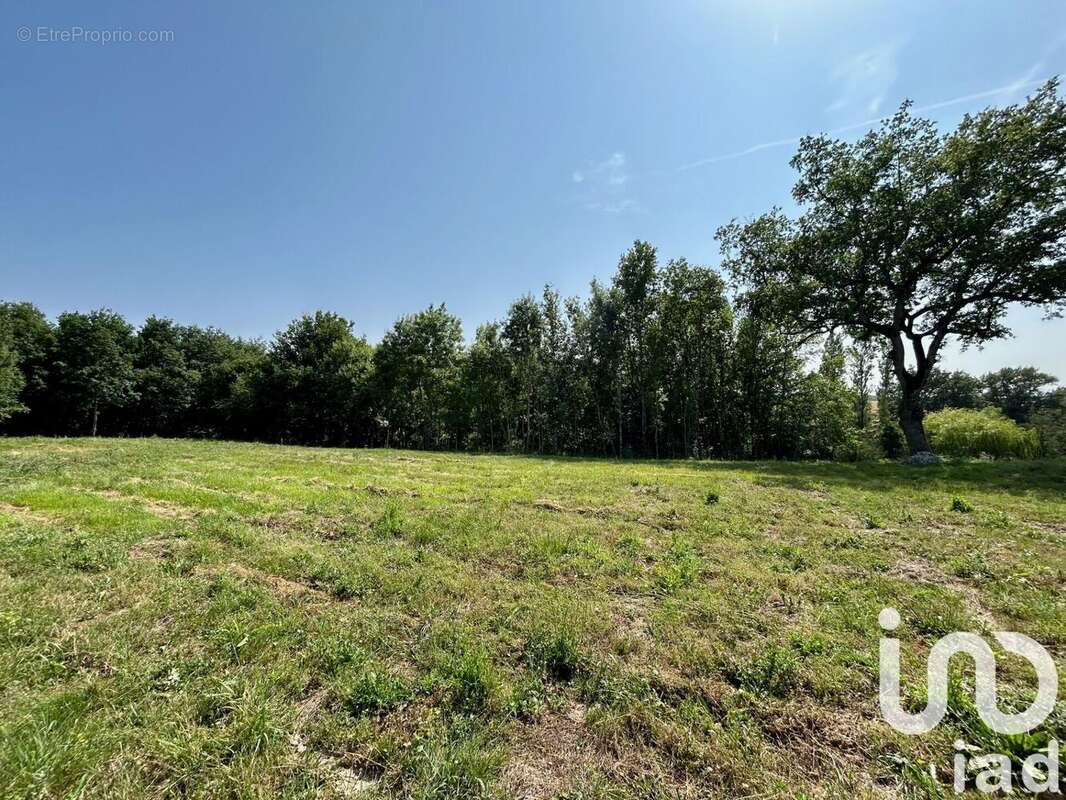 Photo 3 - Terrain à GAILLAC