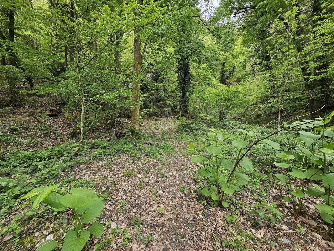 Terrain à SAINT-PAUL-SUR-ISERE