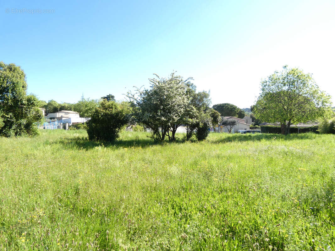 Terrain à CASSAGNOLES