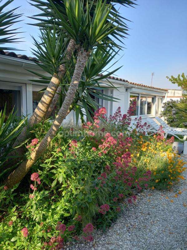 Maison de plain-pied avec jardin et grand garage – Quartier La Cible, Saint-Martin-de-Ré - photo 20