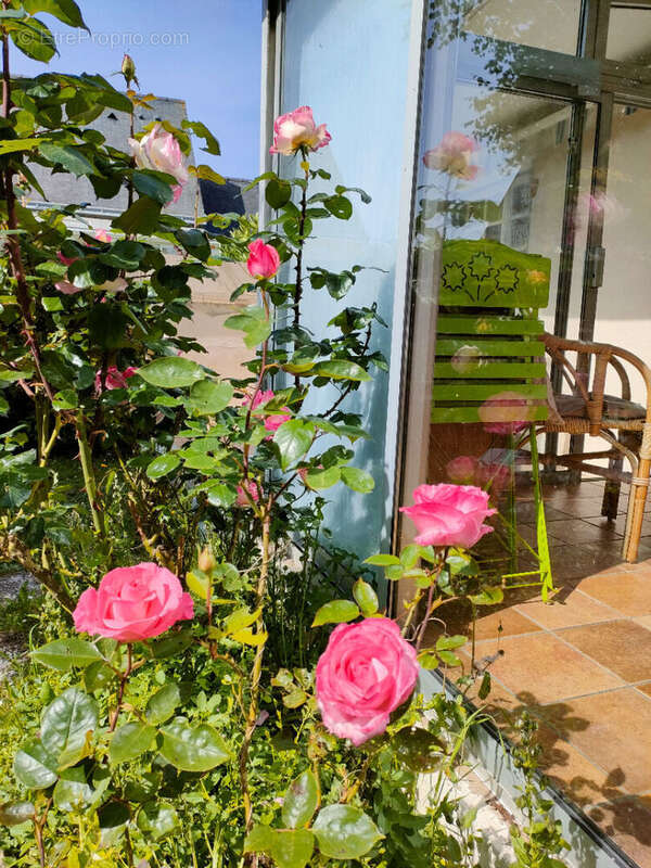 Maison à LE POULIGUEN