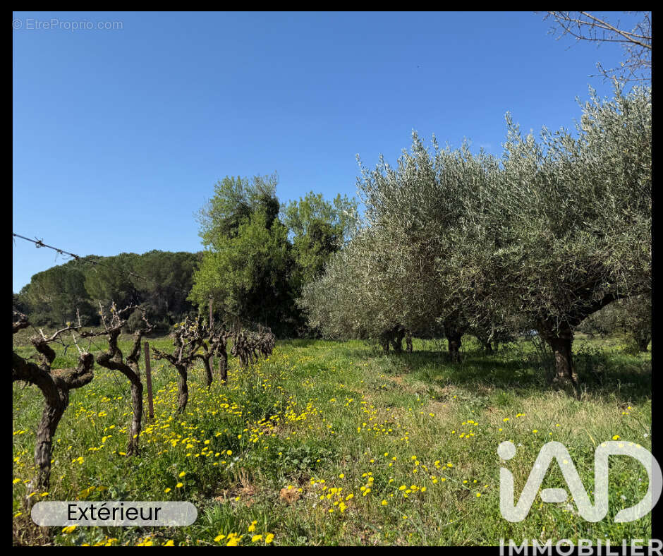Photo 8 - Maison à BAGNOLS-SUR-CEZE