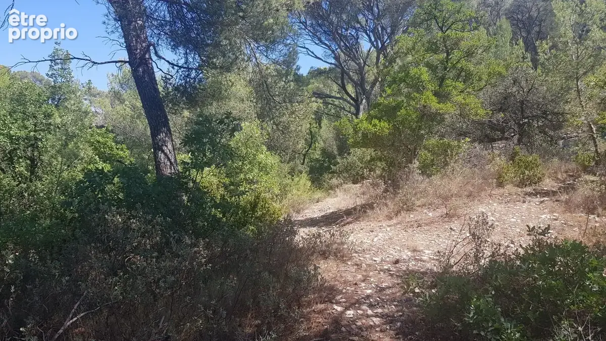 Exclusivite - terrain a vendre - la roque d'antheron - foret - photo 7