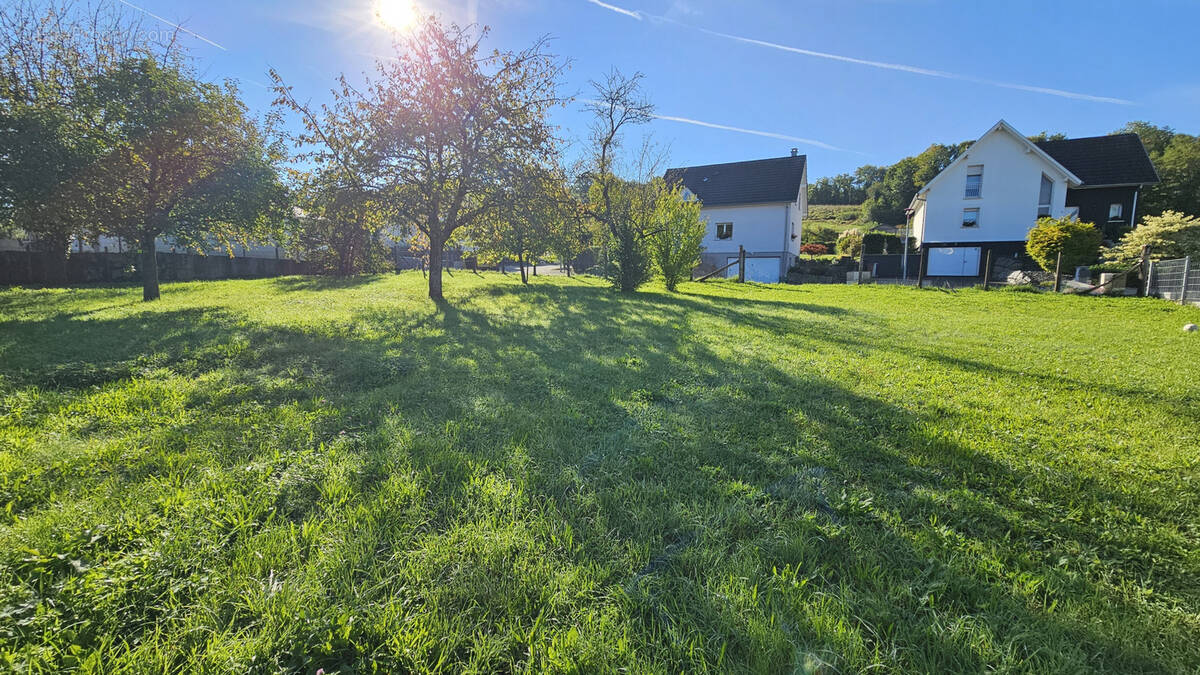 Terrain à WITTERSDORF