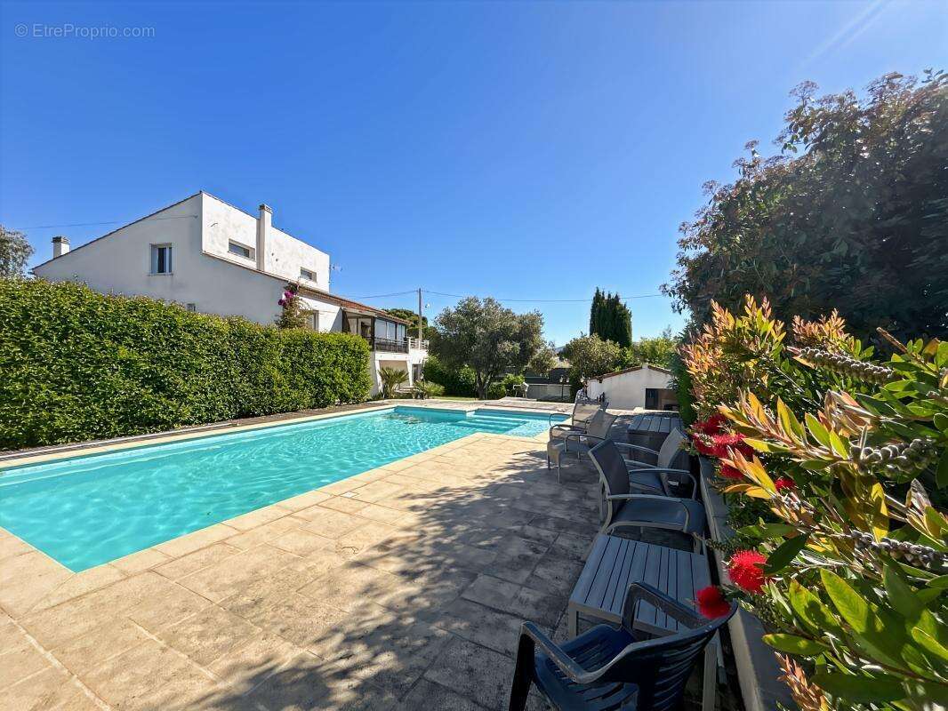 Maison à PUGET-SUR-ARGENS