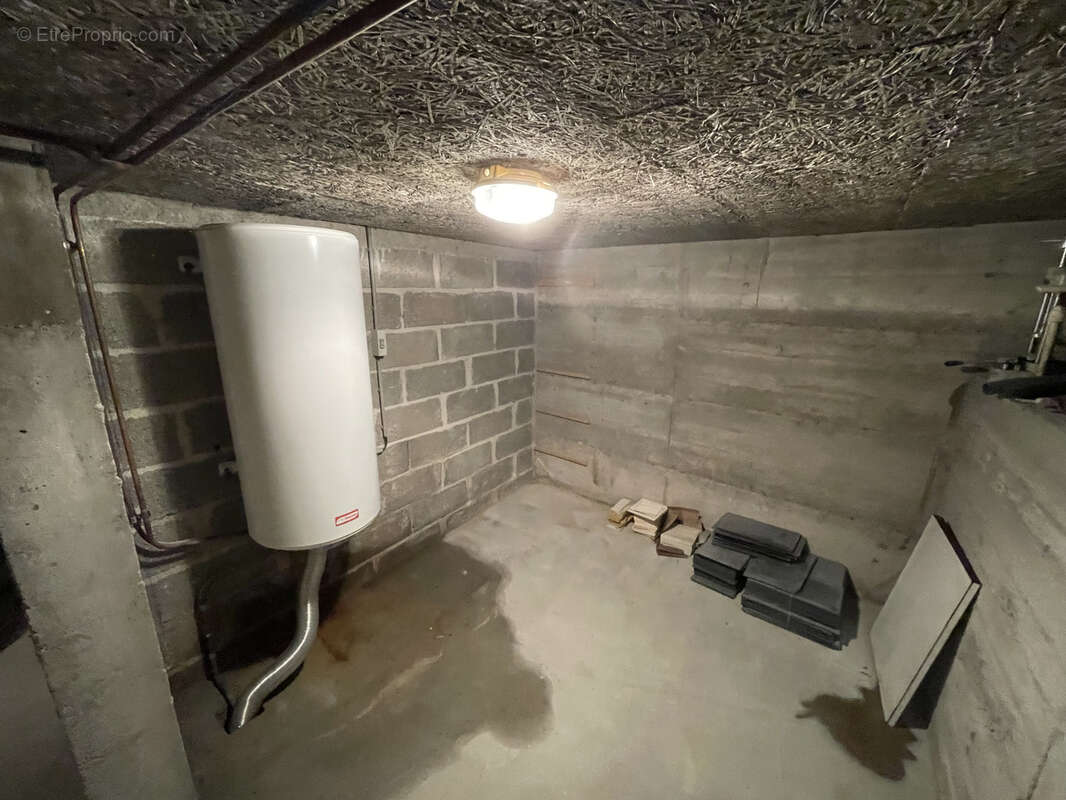 Ensemble immobilier pour labo professionnel + appartement - photo 11
