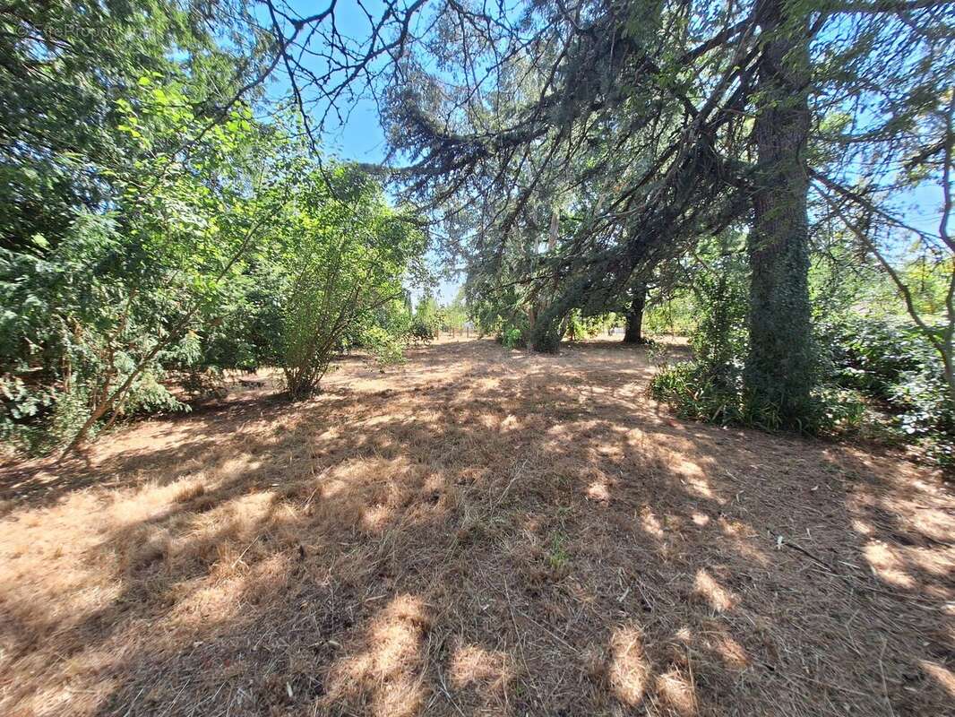 Maison à CASTILLONNES