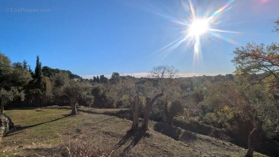 Terrain à ROQUEFORT-LES-PINS
