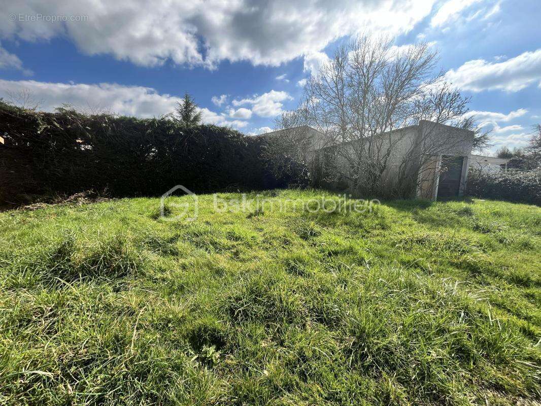 Terrain à LA BOISSIERE-DE-MONTAIGU