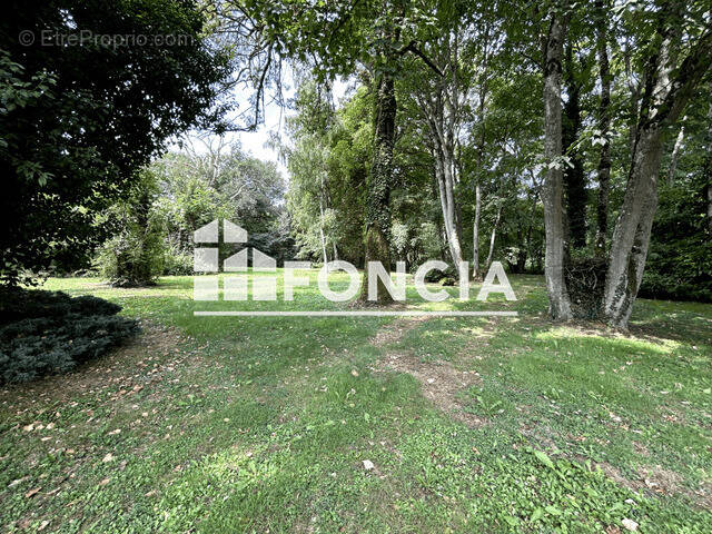 Maison à FONTENAY-LE-VICOMTE