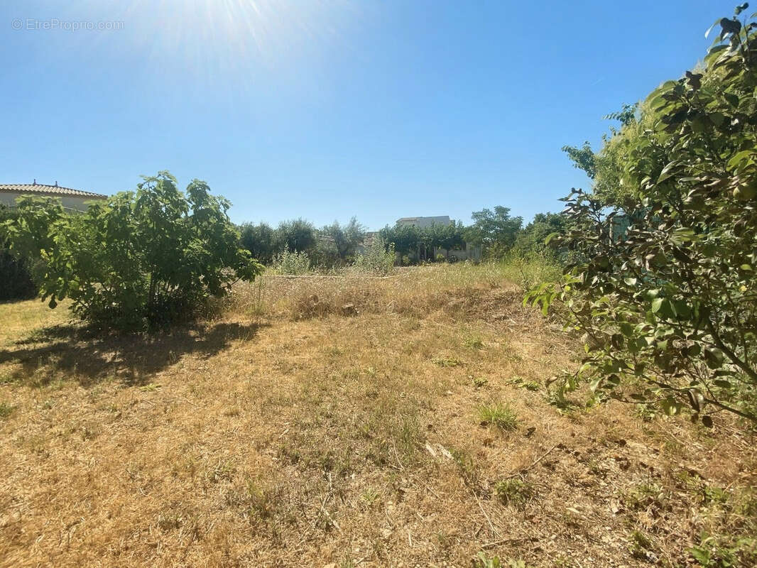 Le Cailar prcoche centre Terrain 700M2 A viabiliser - photo 2