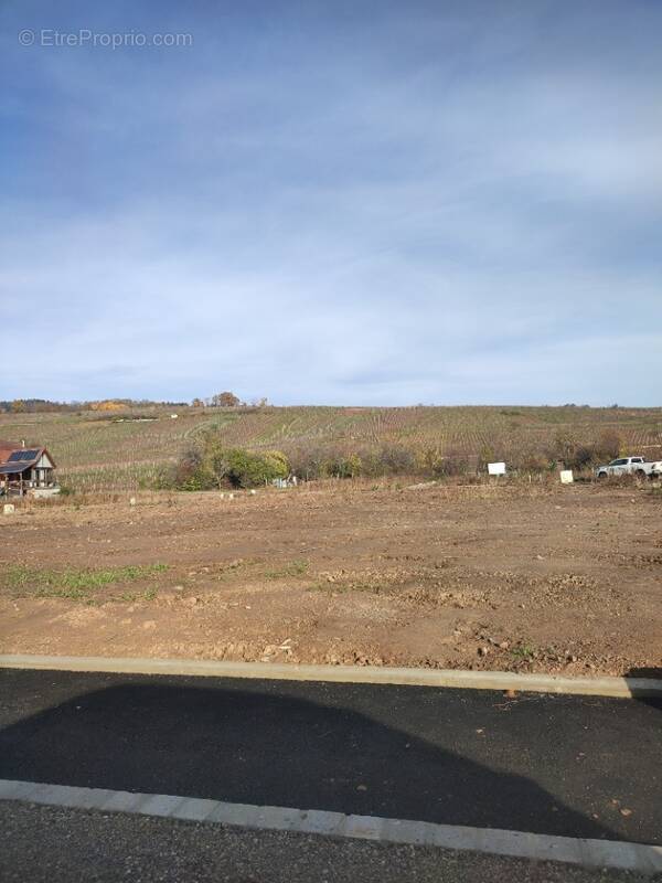 Terrain à RIQUEWIHR