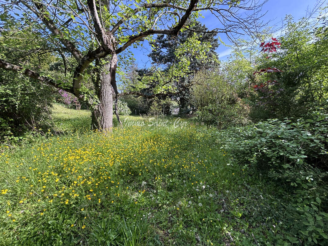 Maison à SAINT-CYR-AU-MONT-D'OR