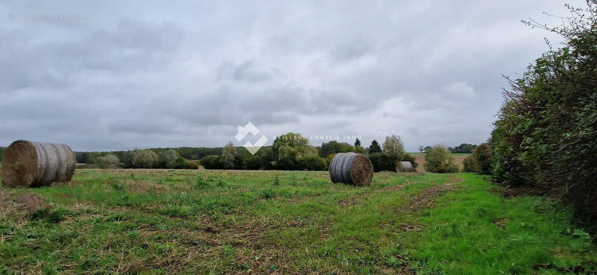 Terrain 1 032 m² à vendre à Couilly-Pont-Aux-Dames (77860) - photo 4