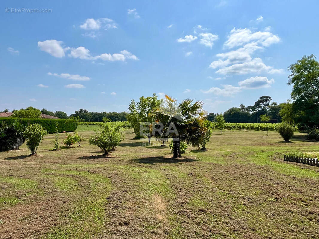 Maison à VILLENEUVE-DE-MARSAN