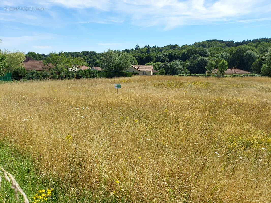 Terrain à BESSINES-SUR-GARTEMPE