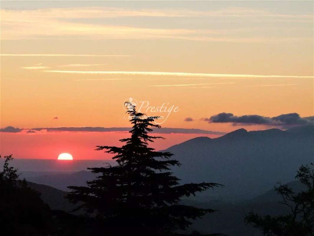 Vente Hotel particulier Arles-sur-tech(66150) 593 000ï¿œ - photo 7