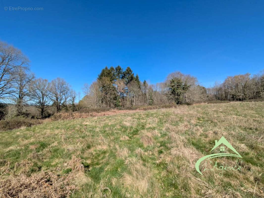 Terrain à VAYRES