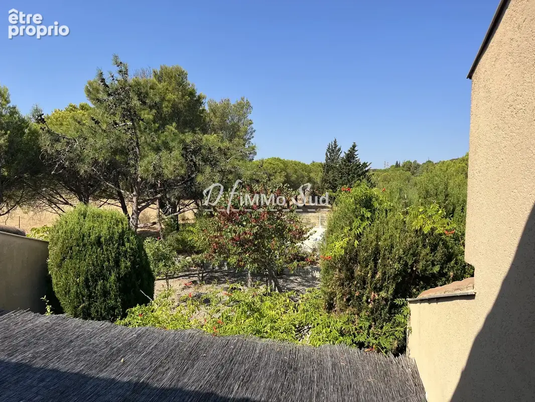 Maison  t4 - 4 faces avec garage + piscine sur terrain de + 7 000 m2 - photo 8