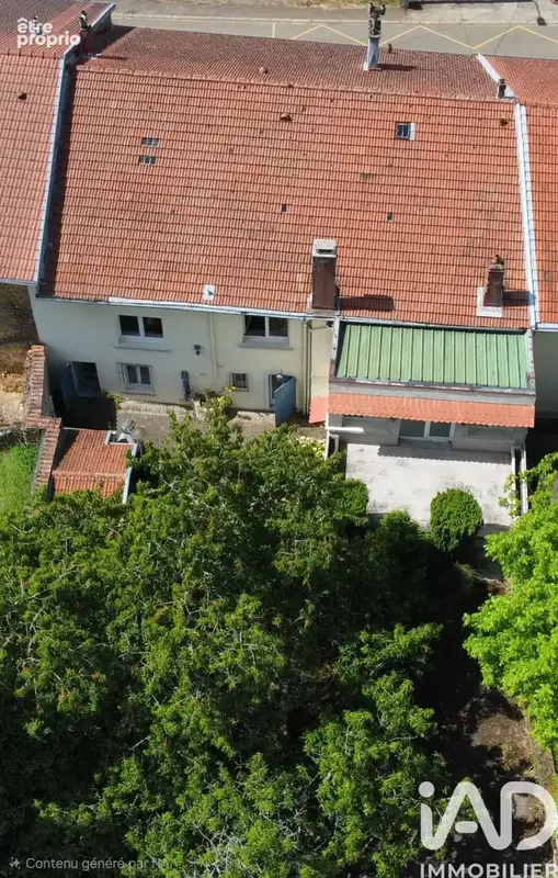 Photo 1 - Maison à VILLE-AU-MONTOIS
