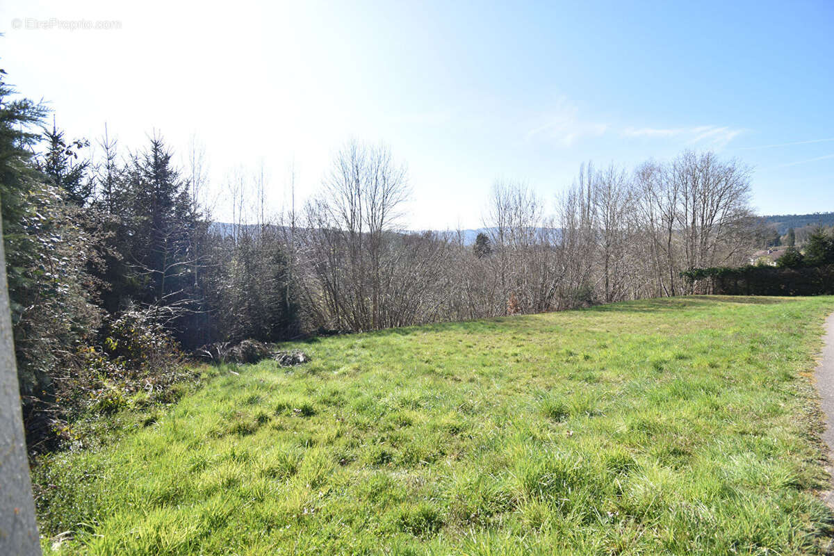 Terrain constructible Saint Leonard 930 m2 - photo 2