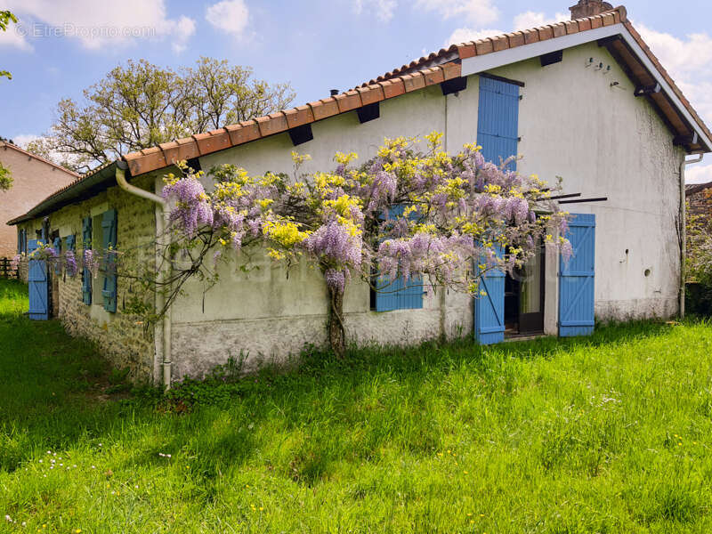 Maison à LEZAY