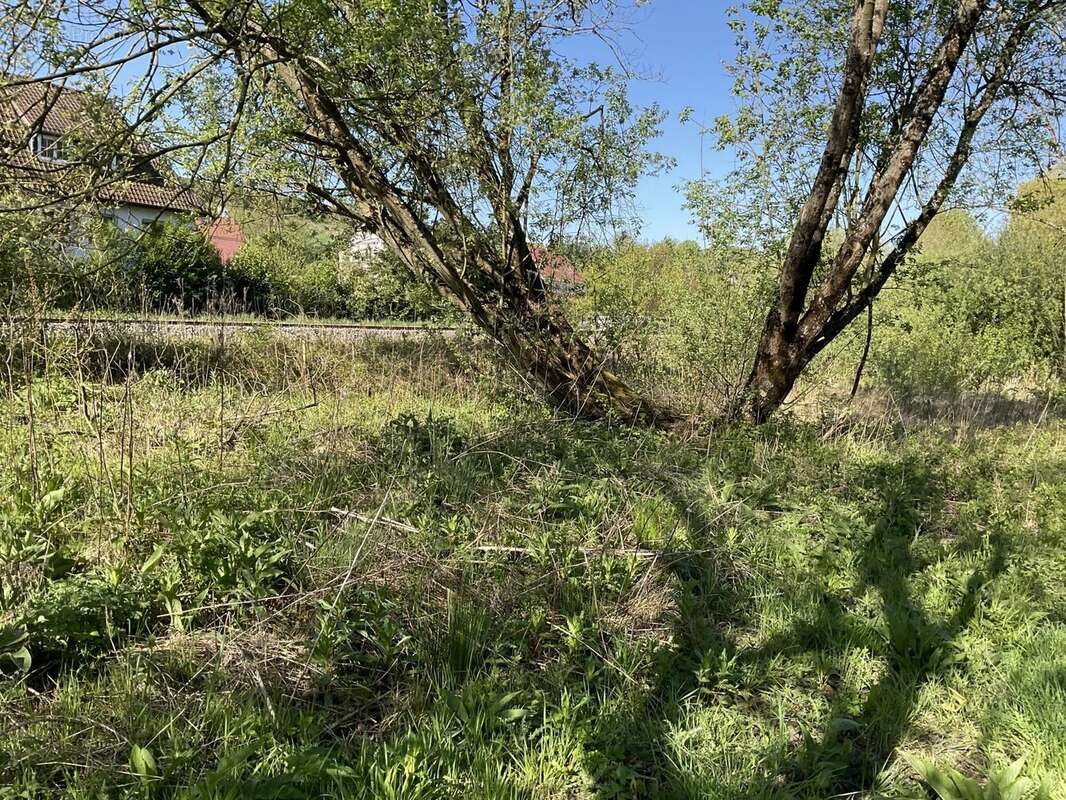 Terrain à BEAUMERIE-SAINT-MARTIN