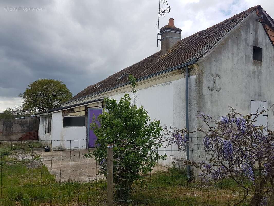 Maison à LOUAILLES