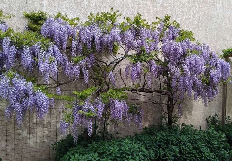 Appartement à MONTREUIL