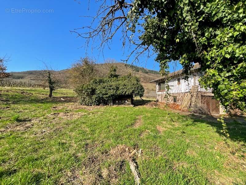 Terrain à CHATENOIS