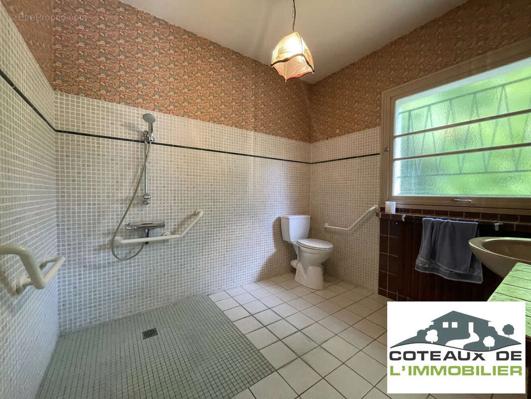 Maison à BLANZAC-PORCHERESSE