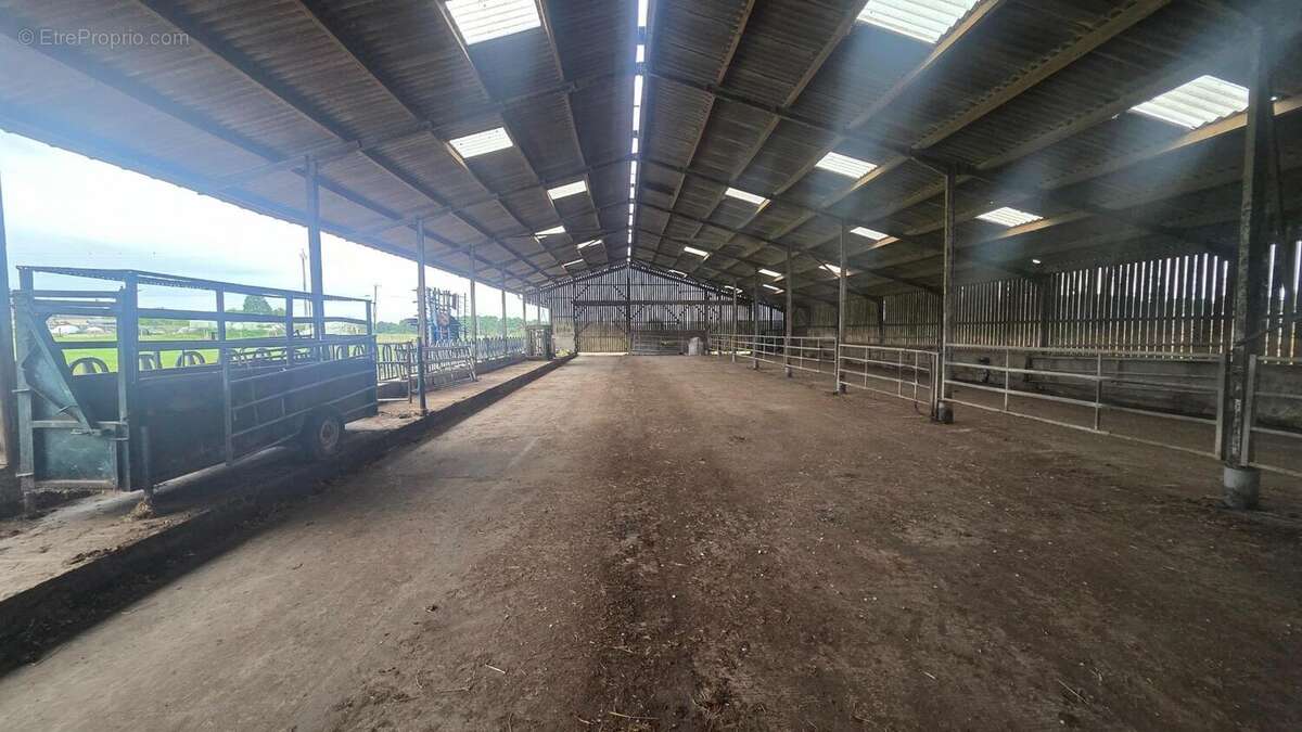 Photo 6 - Terrain à BAUGE