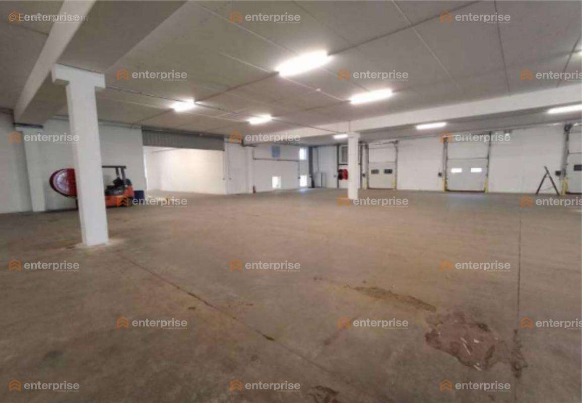 Local d’activités 2 000 m2 – hénin-beaumont (axe a1) - photo 5