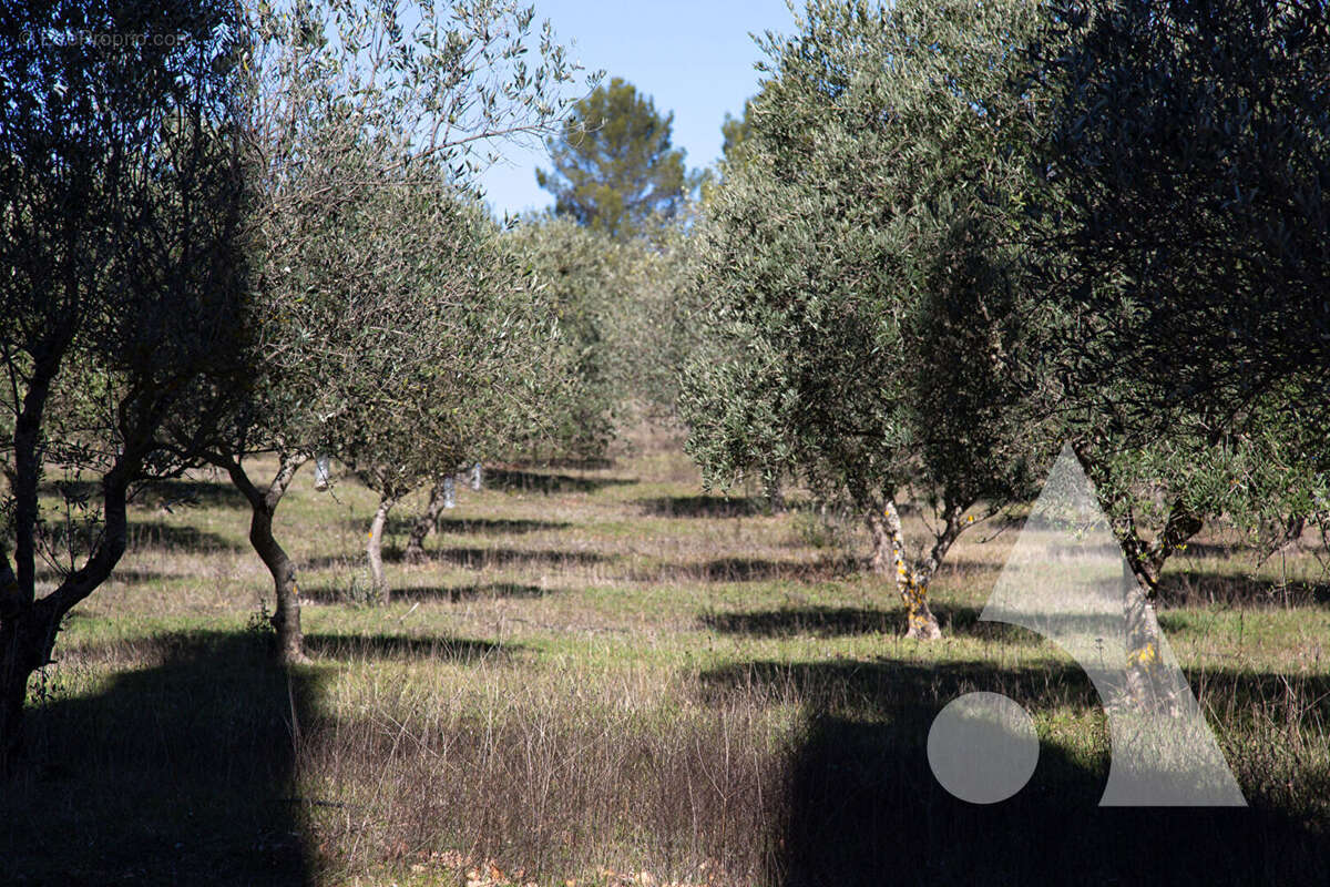 Maison à MOISSAC-BELLEVUE