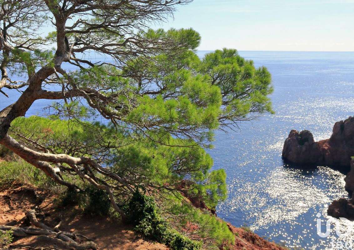 Photo 6 - Maison à LE LAVANDOU