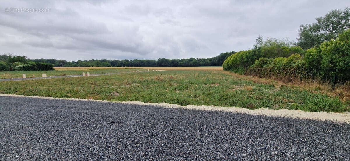 AU CALME - Terrain  viabilisé de 443 m² - photo 3