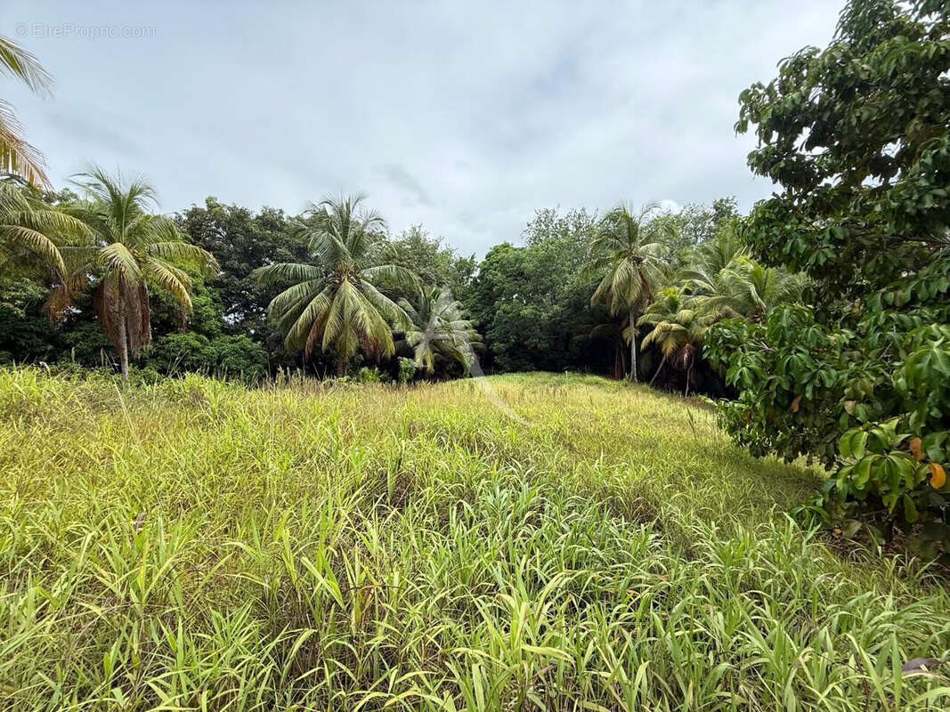 Villa de 7 chambres sur grand terrain à fort potentiel à Petit Bourg - photo 10