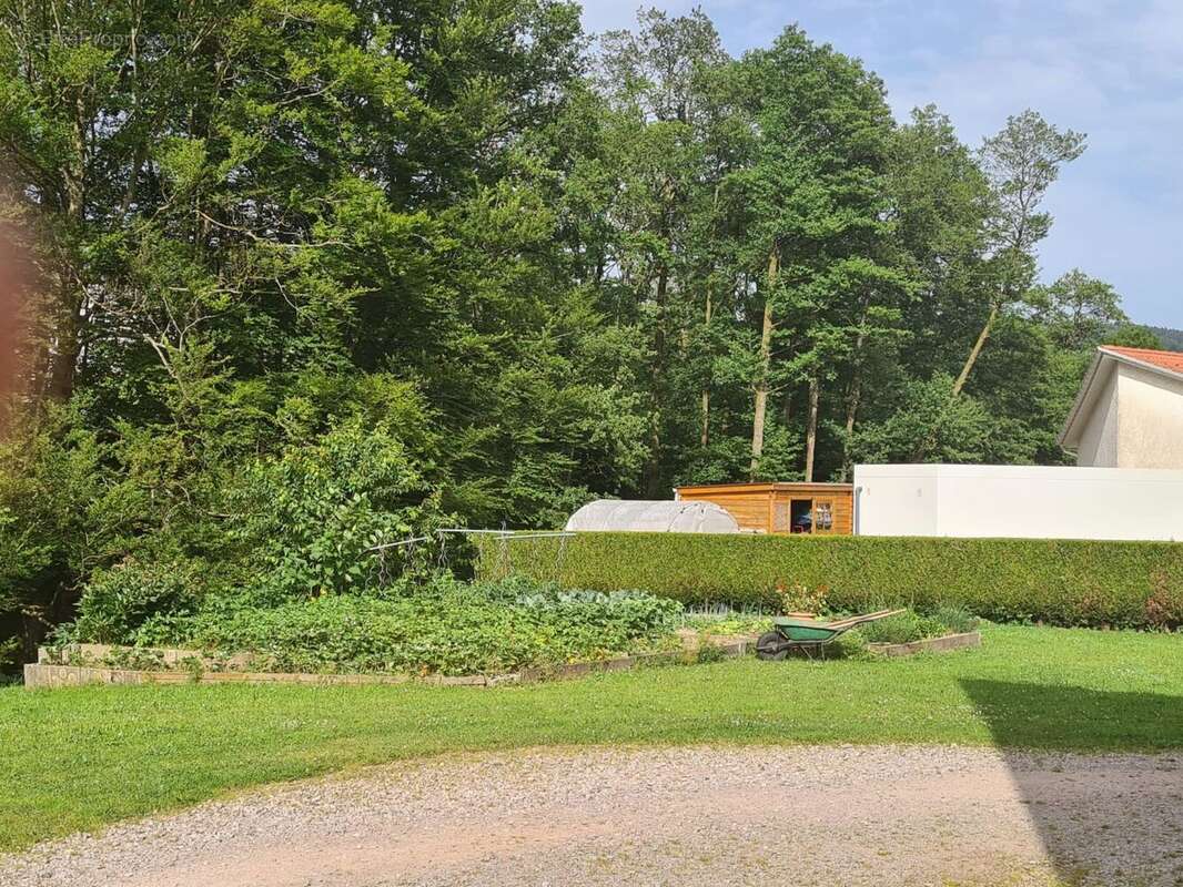 Maison à LE THILLOT