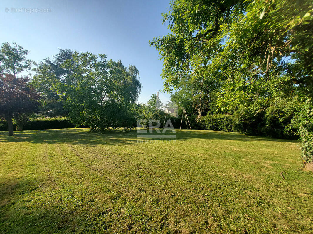 Terrain à LES GRANGES-LE-ROI