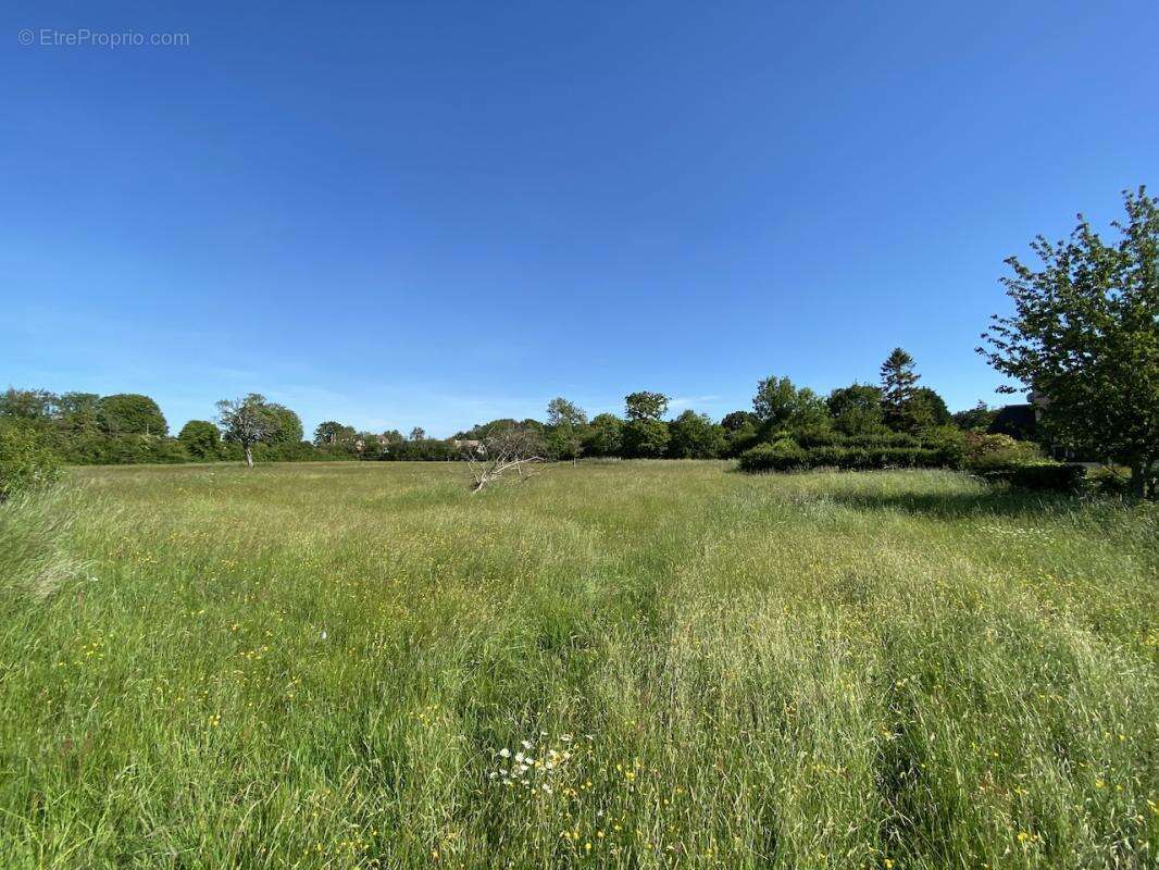Terrain à VILLERS-SUR-MER