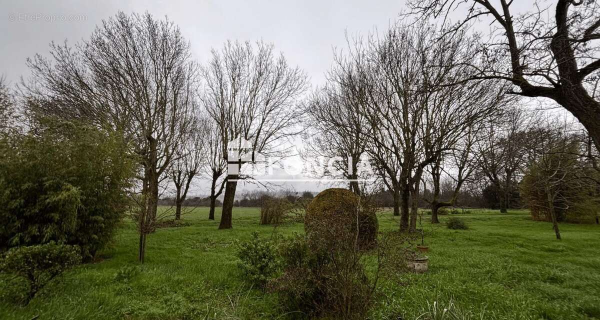 Maison à CASTELNAUDARY
