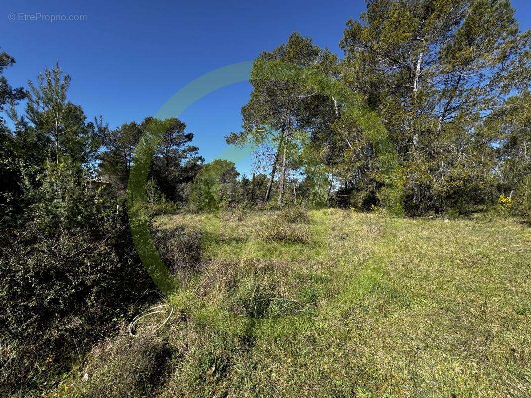 Terrain à SAINT-PAUL-EN-FORET