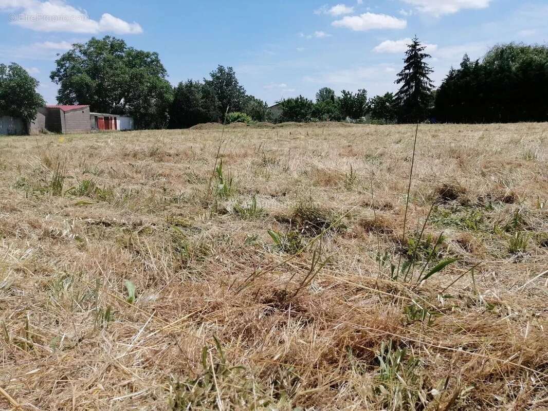 Terrain à MARSSAC-SUR-TARN
