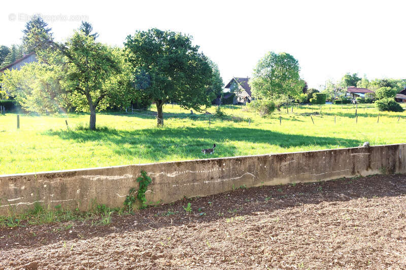 74500 FETERNES à 5mn EVIAN embarcadère,villa neuve type F4/5 de 110m²hab au calme et ensoleillé sur 460m²terr plat - photo 9