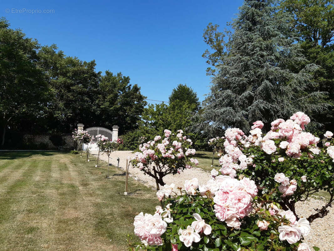 ALLEE - Maison à CONDAC