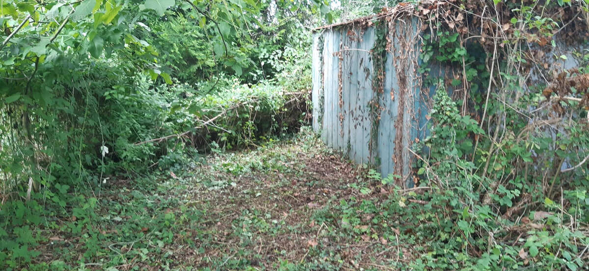 Terrain à SAINT-CHRISTOPHE