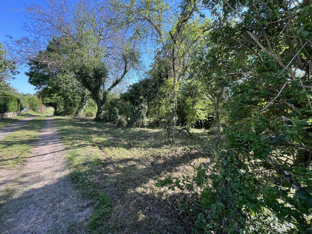 Terrain à SAINT-BENIN-D&#039;AZY