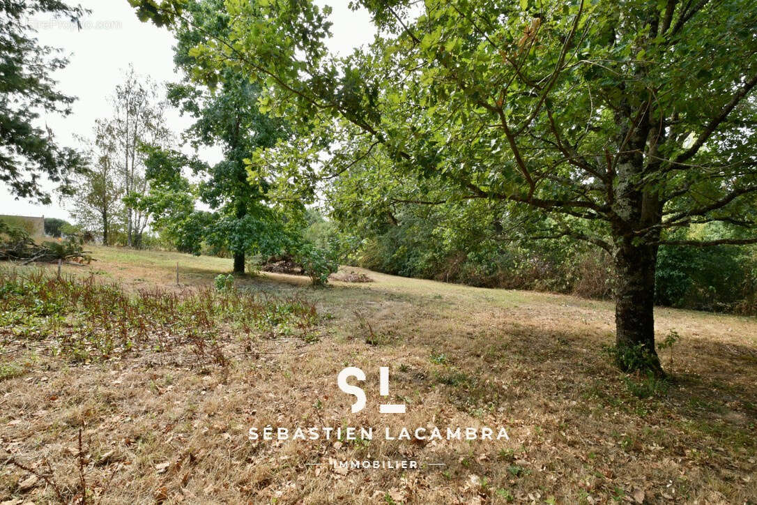 Cadalen   terrain à bâtir de 1 191 m2   un écrin de verdure sans vis-à-vis - photo 7