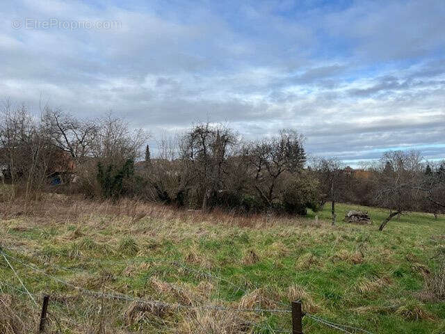Terrain 1050 m² à Petitmont  - photo 2
